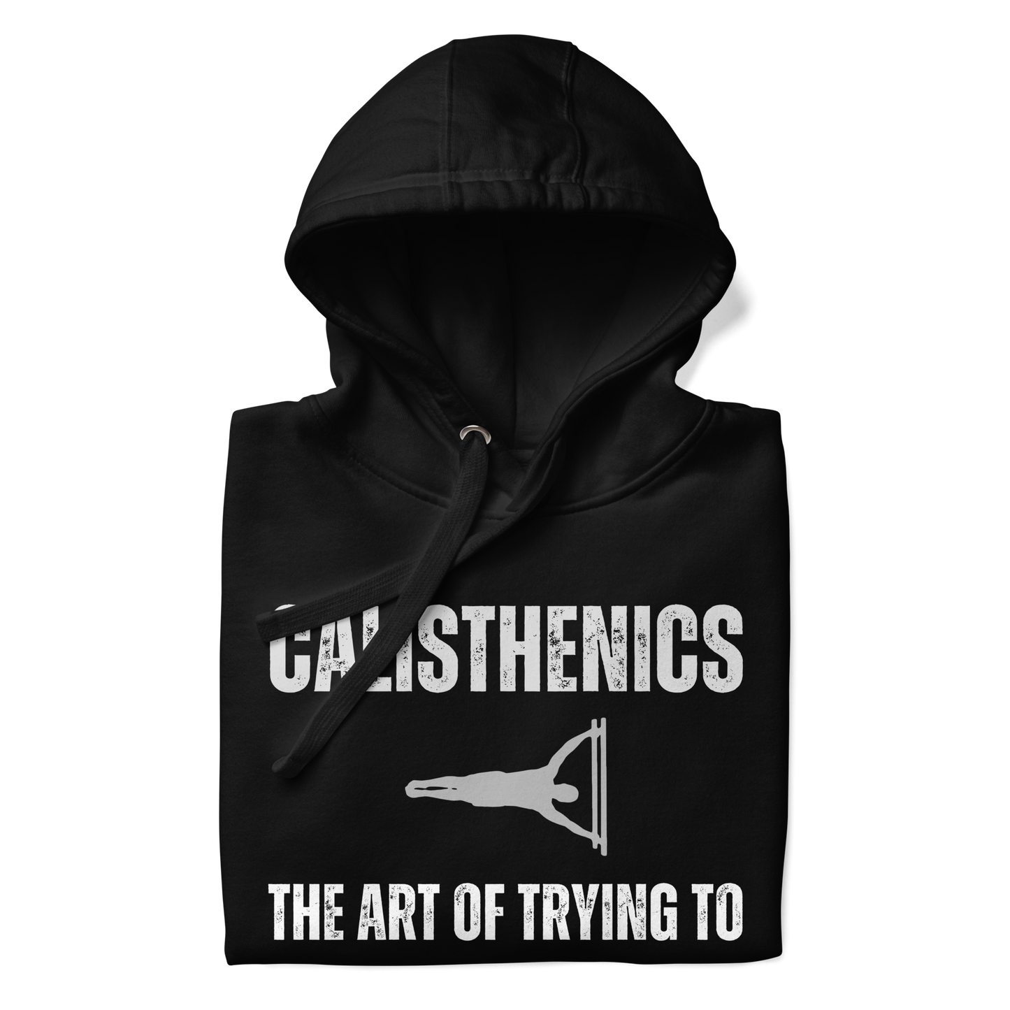 Calisthenics The Art Hoodie