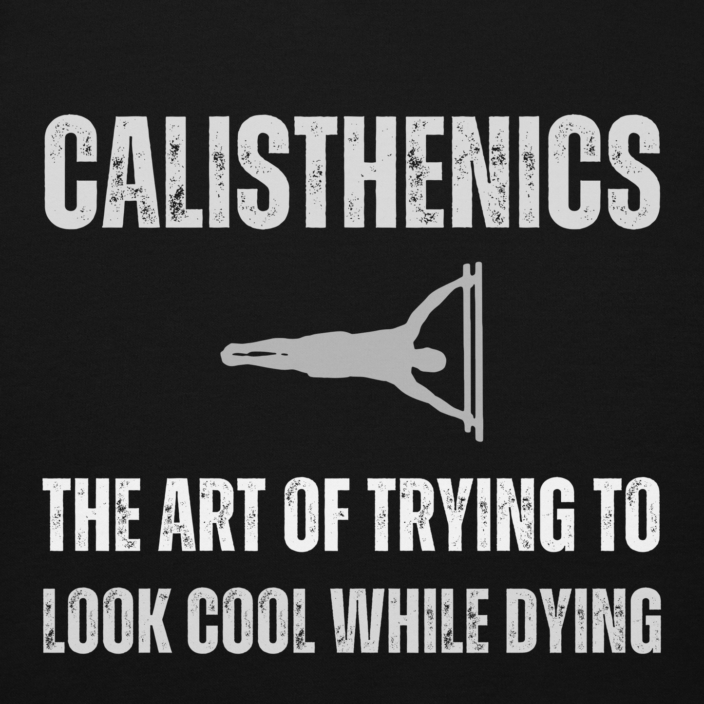 Calisthenics The Art Hoodie