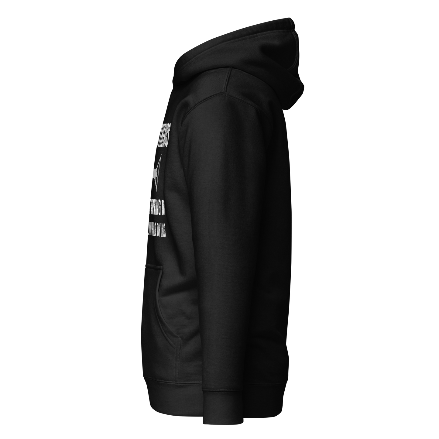 Calisthenics The Art Hoodie